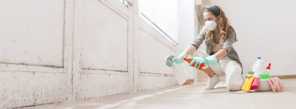 Best Mold Remediation for Rental Properties  in Vanceburg, KY